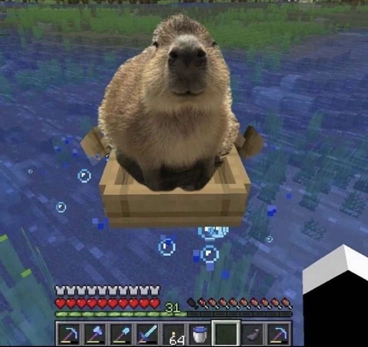 capybara